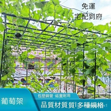 『』庭院葡萄架 爬藤桿架 百香果黃瓜絲瓜鐵綫蓮攀爬架 包塑鋼管花支架 爬藤架 豆角黃瓜架 園藝花支架 園藝架 植物架