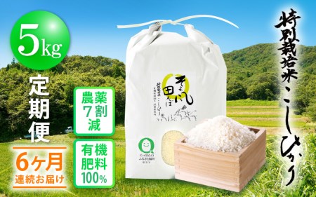 米 定期便 ≪6ヶ月連続お届け≫ 特別栽培米 コシヒカリ 5kg × 6回 令和5年産 新米 福井県産 [e10-e001]