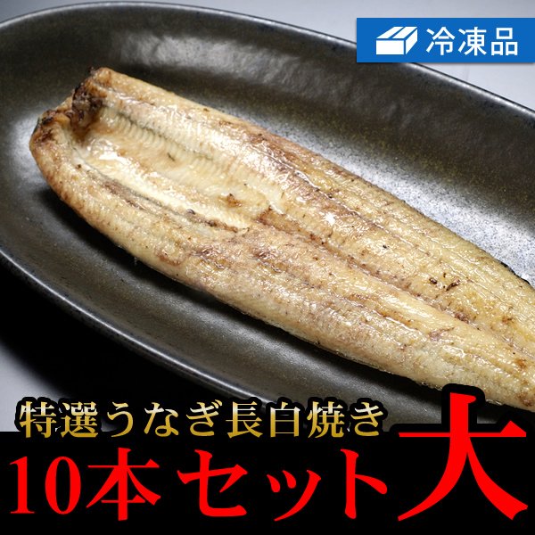 冷凍特選うなぎ長白焼き大10本セット