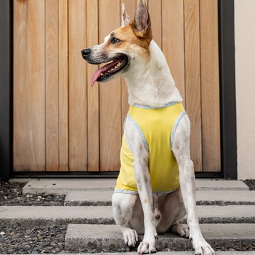 COOL6系列_時毛抗UV涼感衣_檸檬奶油(素色款)_(S-6L,FB)/有效涼感