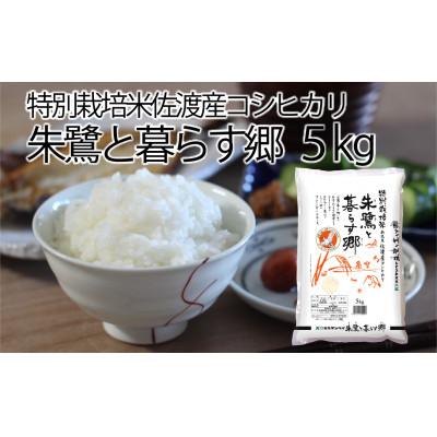 ふるさと納税 佐渡市 特別栽培米佐渡産コシヒカリ・朱鷺と暮らす郷5kg全12回