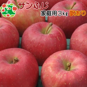 りんご 訳あり 青森県産 サンふじ 家庭用 キズあり 3kg 送料無料 産地直送 産直自宅用 ワケあり お試し 試食 食べ物 旬の くだもの 果物