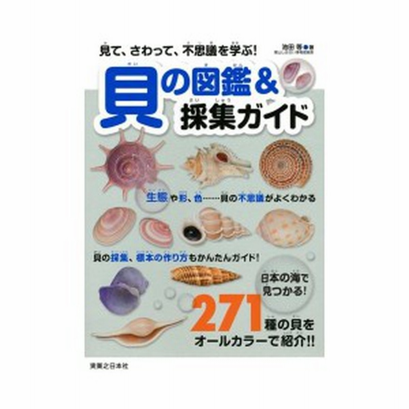 見て さわって 不思議を学ぶ 貝の図鑑 採集ガイド 中古 良品 通販 Lineポイント最大1 0 Get Lineショッピング