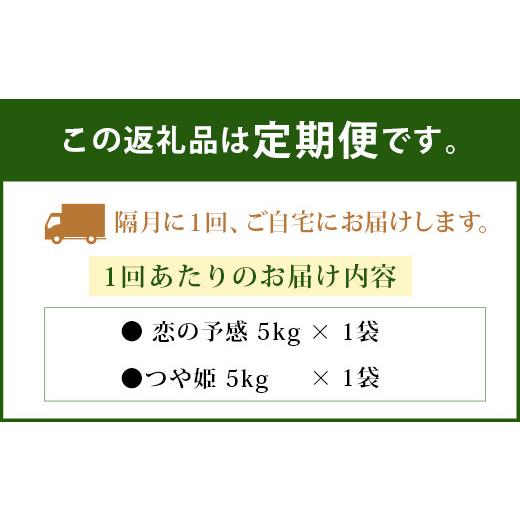 ふるさと納税 大分県 豊後大野市 036-806 大分県 豊後大野市産 つや姫 ジオ蔵出し色選米 特別栽培米 10kg (5kg×2袋) 米 精米