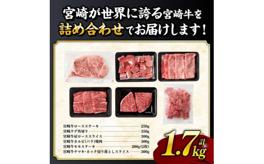 宮崎牛６種 詰め合わせ 1.7kg  [E0614]