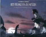 聽那鯨魚在唱歌【二手書_良好】TAAZE讀冊生活