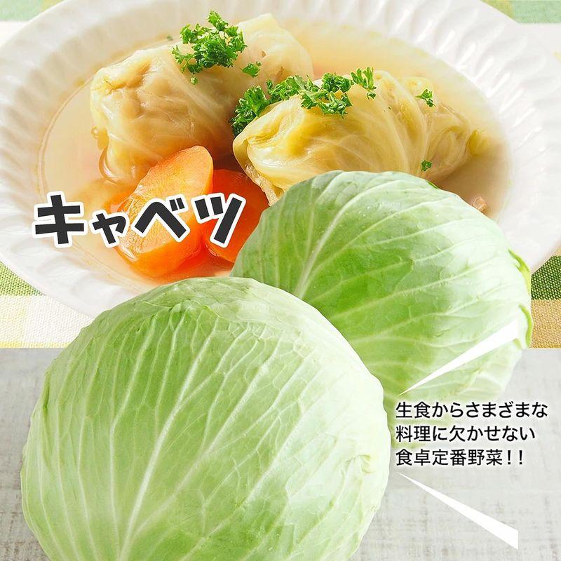 4種野菜セット（キャベツ・たまねぎ・じゃがいも・にんじん） きゃべつ 玉ねぎ ポテト 人参 定番 万能 おうちごはん おうち時間 ご家庭用