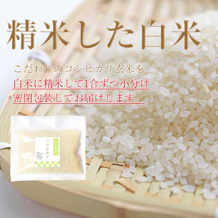 新米 コシヒカリ 1合 150g 令和5年 送料無料 ポイント消化 お試し お茶碗 2杯分 お米 白米 食品 1等級米  米 真空パック 農家直送 滋賀県 ポイント 産地直送