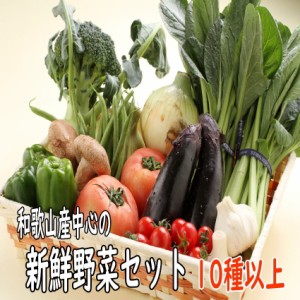 野菜詰め合わせ 新鮮旬の野菜セット 10種以上 送料無料 和歌山産中心