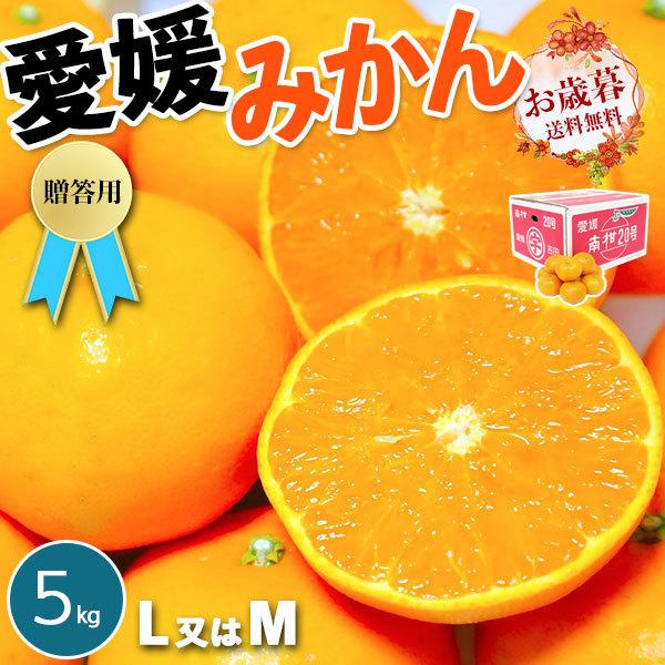 愛媛 みかん 贈答用 5kg M または Lサイズ 1箱 愛媛県 宇和島産 お歳暮 ギフト 蜜柑 JAえひめ南より直送 果物 フルーツ 送料無料 お歳暮　クリスマス