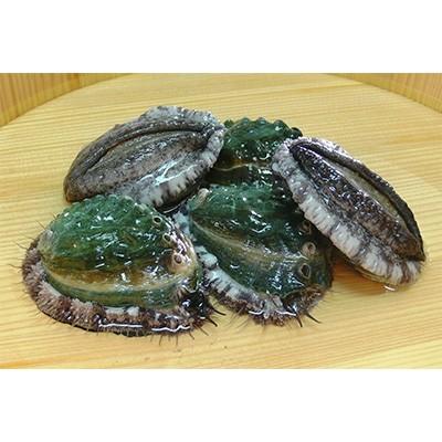 ふるさと納税 湯浅町 やわコリ食感紀州活アワビ 