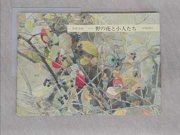 【書寶二手書T1／藝術_YYV】野?花?小人??－?集 安野光雅_日文_安野光雅