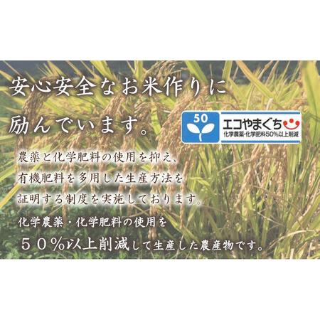 ふるさと納税 ご飯パック 150g × 20パック 米 無洗米 山口 県産 コシヒカリ 特別栽培米エコ50 パックライス パックご飯 レトルト レンジア.. 山口県下関市