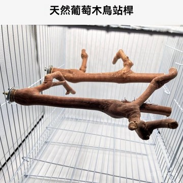 🔥鸚鵡專屬🔥鸚鵡站桿 鸚鵡磨爪站棍 外出站桿 鳥類站架 葡萄木站桿 原木站桿 鳥棲木 原木小鳥站桿 鸚鵡磨牙 和尚玄鳳