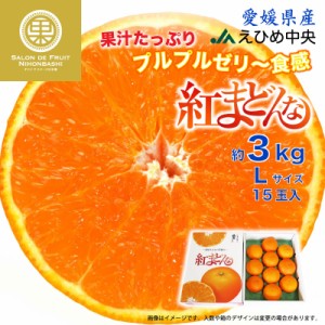 [予約  12月21日から12月25日のご納品] 紅まどんな 約3kg Lサイズ 愛媛県 冬ギフト お歳暮 御歳暮