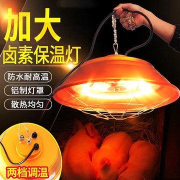 免運/快速出貨 養殖鹵素保溫燈獸用取暖燈可調溫度育雛加熱燈保暖燈仔豬設備用品