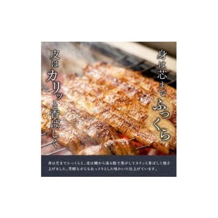 ふるさと納税 名店の味 国産鰻 宮崎県産うなぎ蒲焼 「満喫セット」(うなぎ蒲焼き2尾 骨の唐揚げ うなぎの肝焼 蒲焼きのタレ・粉山椒)【国産うな.. 宮崎県川南町