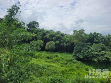 芎林休閒景觀農地 增值可期｜新竹縣芎林鄉下山