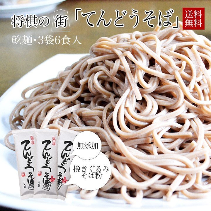 そば 送料無料 ポイント消化 6人前(3袋) 「てんどうそば」 乾麺 そば処やまがた お取り寄せ