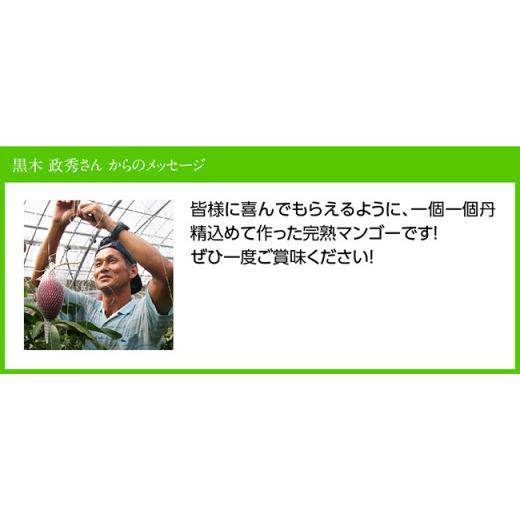 ふるさと納税 宮崎県 川南町 宮崎県産完熟マンゴー「おひさまハニーマンゴー」３Ｌ×２玉【果物 フルーツ マンゴー 国産 宮崎県産 完熟マンゴ…