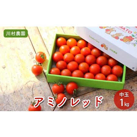 ふるさと納税 甘さと旨味がたっぷり！フルーティーな中玉トマト（アミノレッド）1kg 約30〜35玉入　川村農園 静岡県静岡市