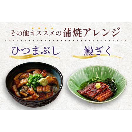 ふるさと納税 ＜期間限定＞国産うなぎ蒲焼 2尾セット隔月定期便（2月,4月,6月お届け）全3回 合計1kg以上 送料無料 鰻楽（2024年1月31日受付終了.. 宮崎県新富町