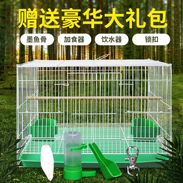 鳥籠 鳥籠鴿子籠玄鳳虎皮鸚鵡八哥繡眼鳥籠子大號超大特大養殖繁殖家用『CM45375』