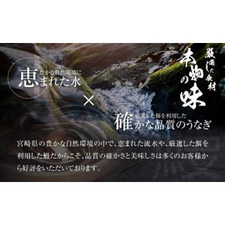 ふるさと納税 国産うなぎ使用 鰻白焼き 大サイズ(156〜180g)2尾セット　うなぎ 国産 白焼き 宮崎県宮崎市