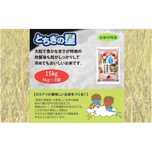 ふるさと納税 栃木県 鹿沼市 栃木県鹿沼市産 とちぎの星 無洗米 15kg（5kg×3袋） 令和5年産 水稲うるち精米 単一原料米 お米  特A 大粒 [No.5840-2393]