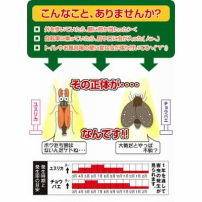 ユスリカ駆除剤 チョウバエ 駆除 風呂 チョウバエ 駆除 浄化槽 トイレ ...