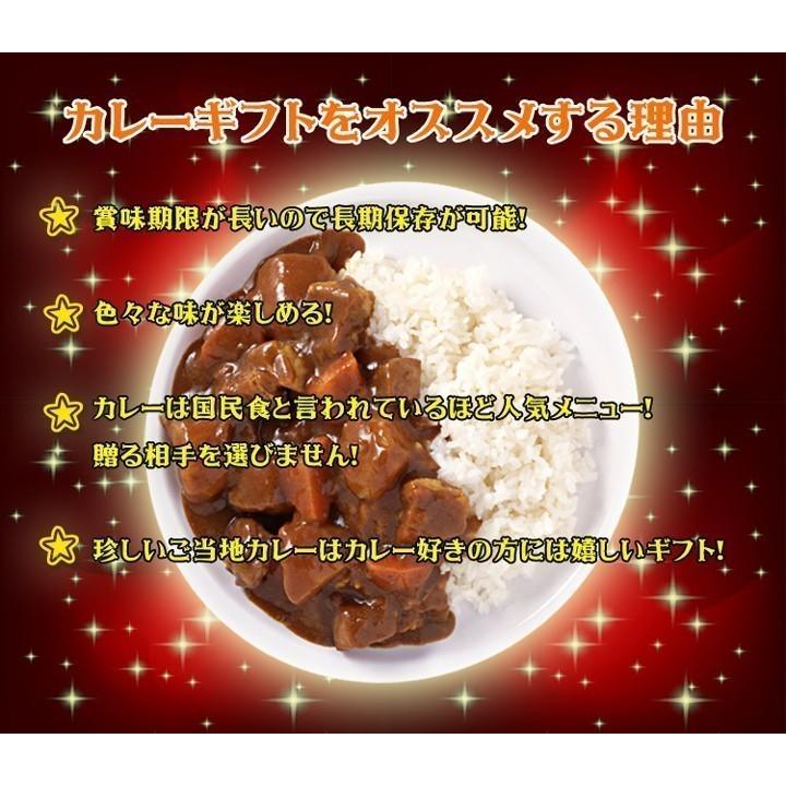 ブランド肉カレーセット 17個入 ご当地カレーギフト 送料無料 レトルトカレー 詰め合わせ お歳暮