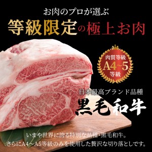 S001-001A_A4～A5等級 含む 黒毛和牛 切り落とし 1kg（500g×2P）