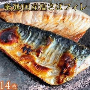 ふるさと納税 人気の魚の幸定期便（塩サバ・うなぎ蒲焼・鮭切身） 和歌山県和歌山市