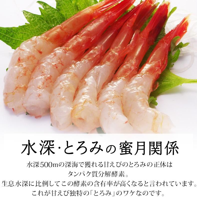 海老 エビ 甘エビ 刺身 冷凍 越前産甘エビ500g 酸化防止剤・添加物不使用