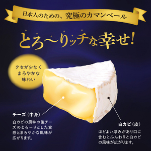 明治北海道十勝チーズ ベスト11 よくばりセット 計3回 me003-066-k3c