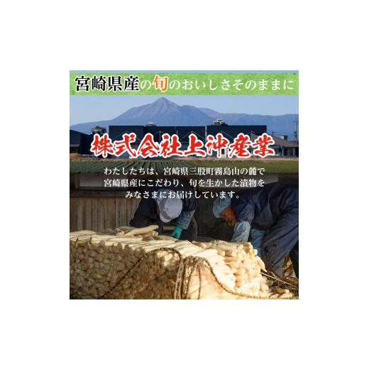 ふるさと納税 宮崎県 三股町 MI012 純国産たまりらっきょうセット(130g×10袋・計1.3kg)おつまみやご飯のおともに！