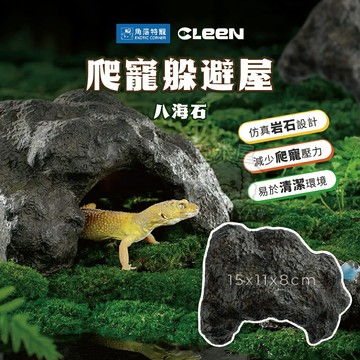 爬寵躲避屋 爬蟲造景擺飾 CLEEN其鱗 角落特寵 角落水族 侏儸紀公園 爬寵生態 躲避屋 造景【亞米屋Yamiya】