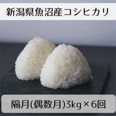 新潟県魚沼産コシヒカリ「山清水米」精米3kg(偶数月発送)全6回