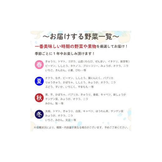 ふるさと納税 高知県 須崎市 定期便 年6回 野菜 旬 セット お楽しみ 約 8品目 やさい セット 旬 春 夏 秋 冬 採れたて 新鮮 農家 直送 詰め合わせ 国産 野菜…