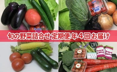 旬の野菜詰合せ（年間4回定期便）