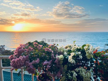 西子灣柴山秘境無敵海景｜靜心花園渡假退休生活｜高雄市鼓山區柴山