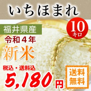 令和4年産 福井県産 いちほまれ 特別栽培米  白米10kg  