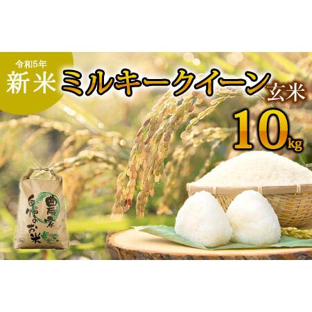 ふるさと納税 令和5年産 阿蘇のお米 ミルキークイーン10kg 1袋 玄米 熊本県阿蘇市