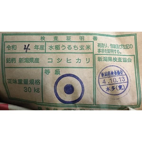 米 10kg 送料無料 新潟県佐渡 コシヒカリ 1等玄米 クーポンでさらにお得