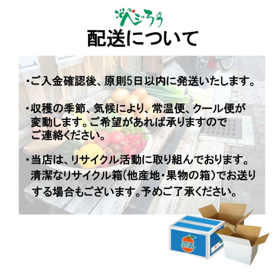 定番野菜 たまねぎ にんじん じゃがいも 3点セット カレーセット カレーライス用 約3ｋｇ 送料無料