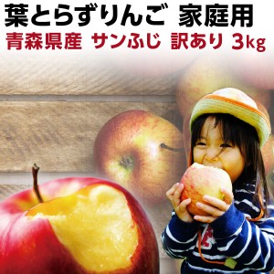 早期予約 りんご 訳あり 送料無料 青森 葉とらず サンふじ ご家庭用 約3kg(8～14玉) 産直 世界が認めたリンゴ Y常