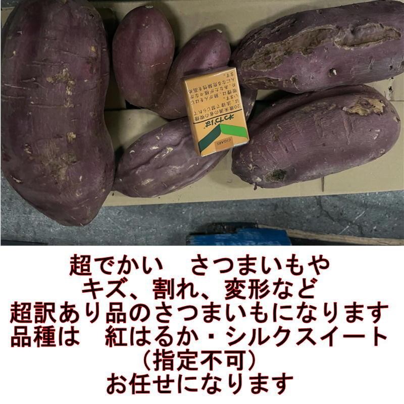 紅はるか・シルクスイート 超訳あり 加工用 ハネ品 熊本産 １０kg 品種