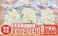 2149 ほくほくしてほんのり甘いゆり根 300ｇ(100ｇ×3袋)