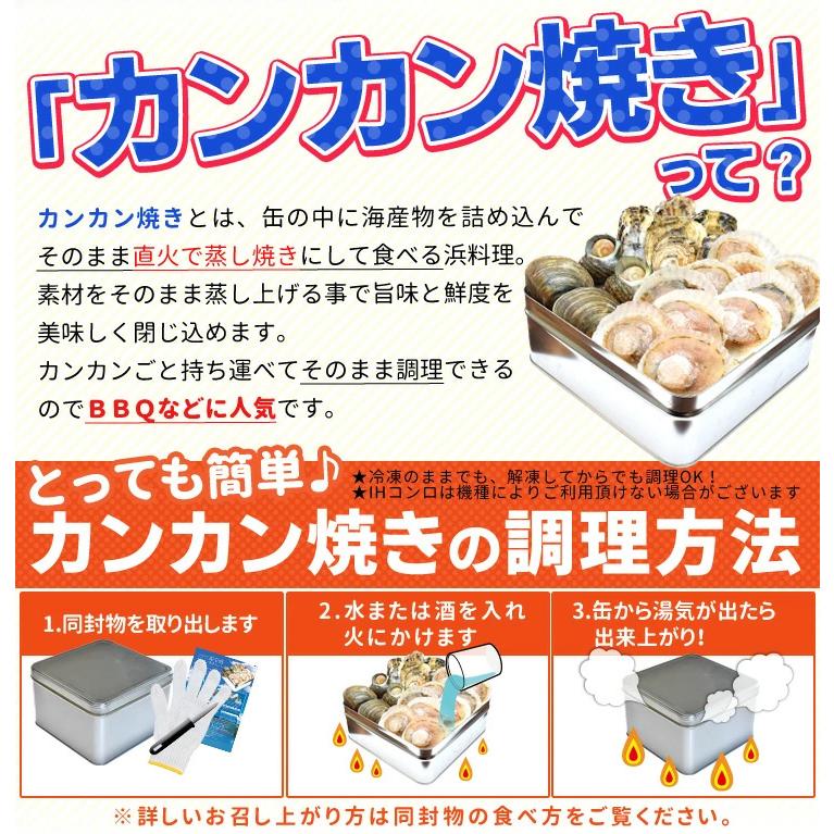 貝の海宝焼 牡蠣８個 さざえ４個 ホンビノス貝４個 ほたて片貝１０個 送料無料 冷凍貝セット（牡蠣ナイフ、片手用軍手付）カンカン焼き ミニ缶入 海鮮BBQ