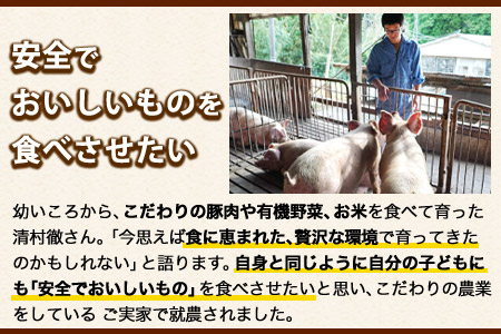 味噌豚 清村養豚《60日以内に順次出荷(土日祝除く)》 豚 肉 熊本県御船町